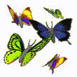 vlinders18animlx0.gif